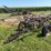 john-deere-55-abh-image-1