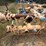 mud-hog-8x6x14-centrifugal-pumps-p/b-75-hp-electric-motor,-skidded-image-2