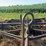 john-deere-11-image-11