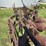 john-deere-55-abh-image-45