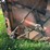 allis-chalmers-silage-blower-image-18