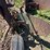 international-14-image-13