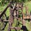 allis-chalmers-16”-one-bottom-pull-type-moldboard-plow-image-12