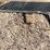 flat-deck-trailer-image-21