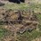 (2)-harrow-sections-with-drag-poles-image-5