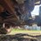 2004-bobcat-toolcat-5600-image-18