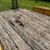 #2312-•-2006-redi-haul-16'-tandem-axle-trailer-image-22