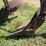allis-chalmers-14”-two-bottom-pull-type-moldboard-plow-image-7