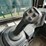 2017-deere-331g-image-14