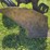 john-deere-66-image-20
