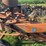 allis-chalmers-silage-blower-image-20