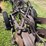 international-14-image-37