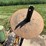 john-deere-290-image-51