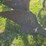 john-deere-14-image-18