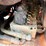 #2718-•-mbw-cg100-curb-machine-image-15