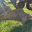 john-deere-214-image-32