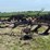 john-deere-14-image-8