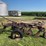 john-deere-55-abh-image-8