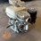 #2862-•-honda-gx240-8-hp-gas-engine-image-4