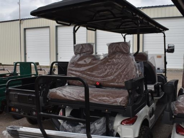 hq100-electric-golf-cart-(lc10026051093)-(k)-image-3
