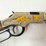 henry-golden-boy-2nd-amendement-22lr-rifle-image-5