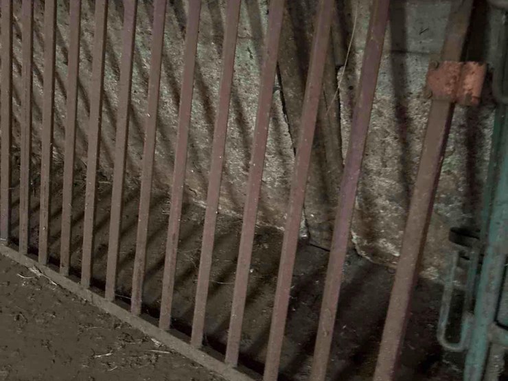 2-heavy-steel-hog-gates-image-2