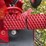 1970-farmall-544-hydro-diesel-row-crop-golden-demonstrator-image-54
