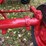 1970-farmall-826-hydro-diesel-row-crop-golden-demonstrator-image-17