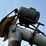 8-ton-bulk-bin/auger-image-24