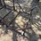 3--steel-cradles---5’x3’-each-image-2