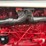1970-1456-farmall-row-crop-mfwa-golden-demonstrator-image-44