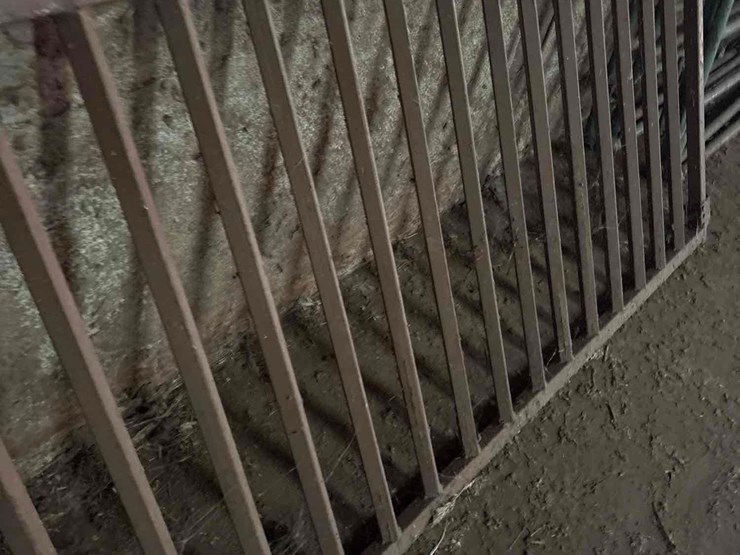 2-heavy-steel-hog-gates-image-6