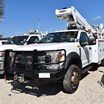 area-farmer-liquidation-auction---ring-a-image