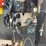 2008-geringhoff-rd630-image-20