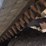 2016-bobcat-t770-image-29