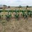 john-deere-825-image-10