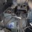 allmand-bros-night-lite-v-series-image-16