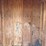 6’x6’-portable-feed-shed-image-8
