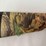 stoeger-turkey-12g-shotgun-image-4