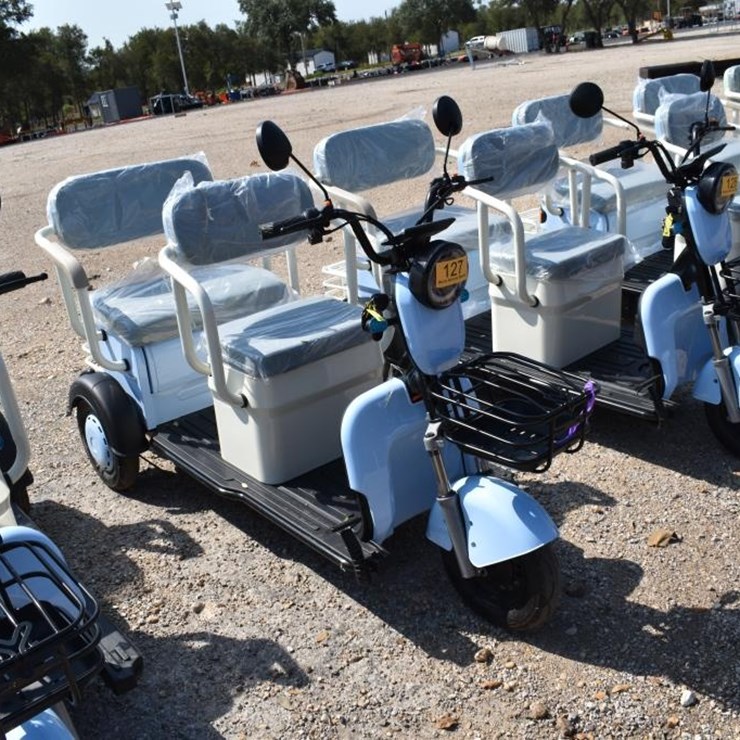 MINI ELECTRIC GOLF CART (SERIAL # LQXH202605JS00113) (K)