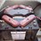 parts-only-2010-yamaha-ydre3-2-passenger-electric-image-12