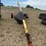 westfield-auger-image-8