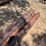 12-count--8’-x-4-1/2”-steel-pipe-image-5