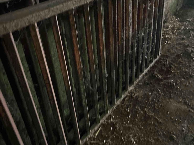 2--15-1/2’-heavy-steel-hog-gates-image-11