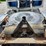 2008-kenworth-t800-image-55