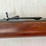 henry-golden-boy-2nd-amendement-22lr-rifle-image-10