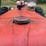 1952-farmall-super-c-image-14