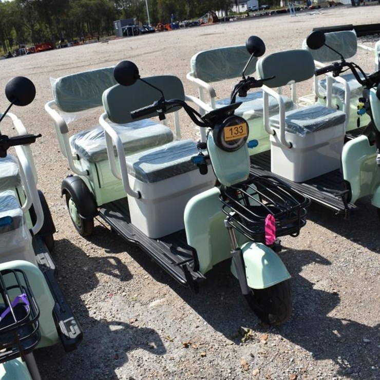 MINI ELECTRIC GOLF CART (SERIAL # LQXH202605JS00005) (K)