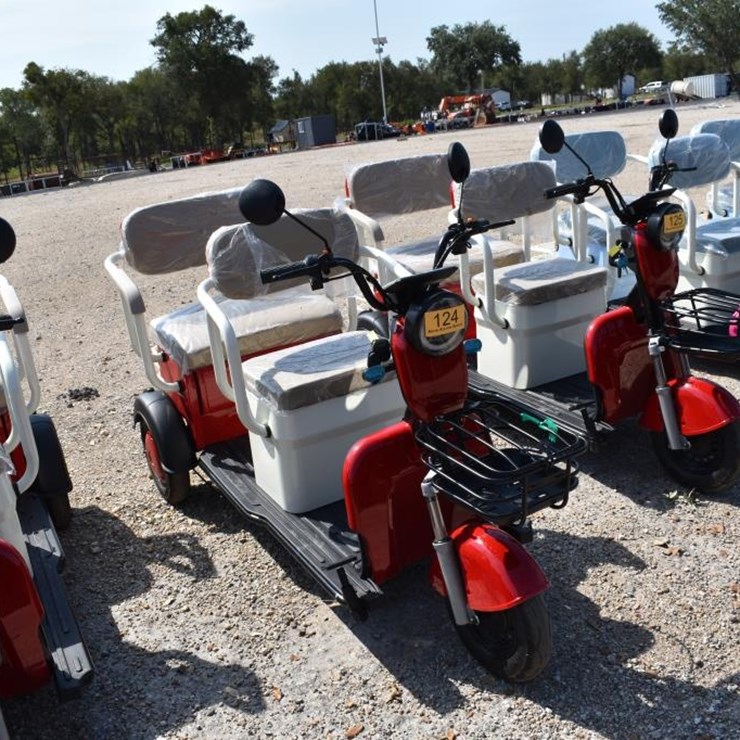 MINI ELECTRIC GOLF CART (SERIAL # LQXH202605JS00160) (K)