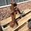 railroad-ratchet-jack-image-3